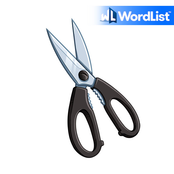 what is the definition of scissors